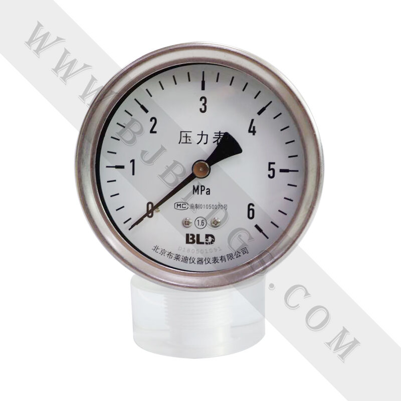 全不銹鋼壓力表YTH-100下軸向無邊